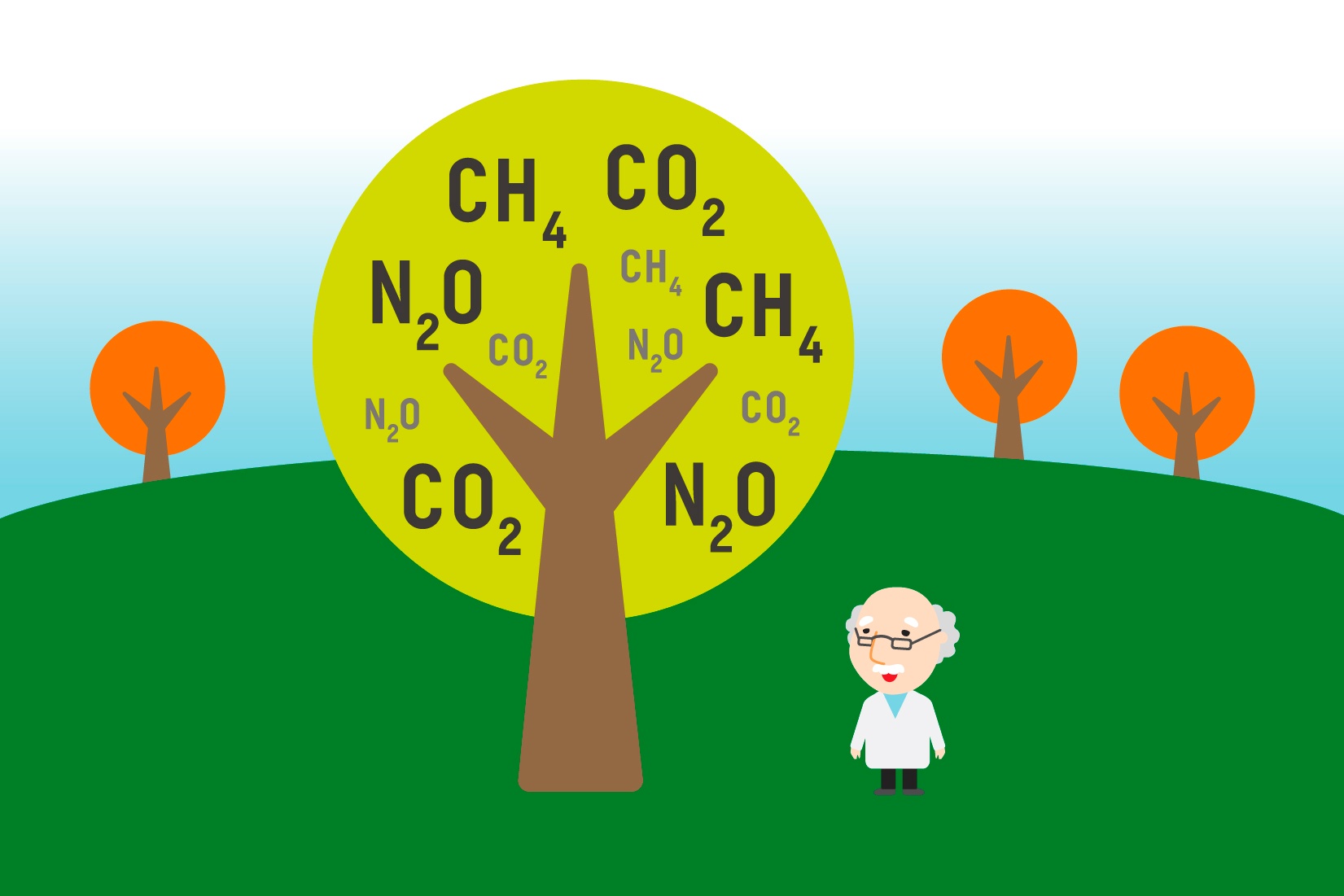 Trees Shaping The Global Greenhouse Gas Dynamics